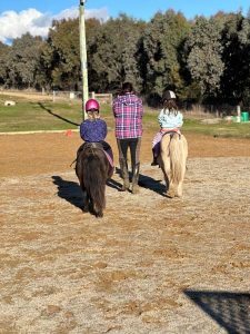 Equine-Assisted-Learning (2)