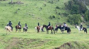 Horse Riding Lesson