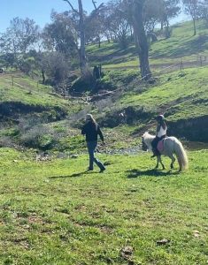 riding-lessons-orange (2)